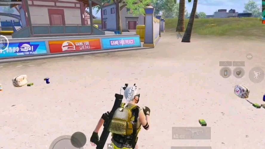 和平精英辅助【ACE闪电容器直装】人物透视 射线方框 锁死自瞄 子弹追踪 物资显示 雷达预警 人物绘制 手持武器